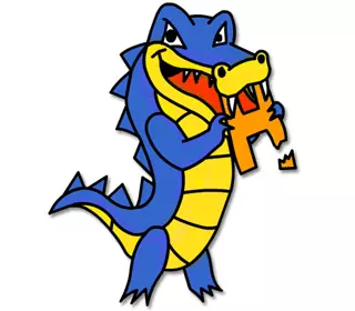 Hostgator India